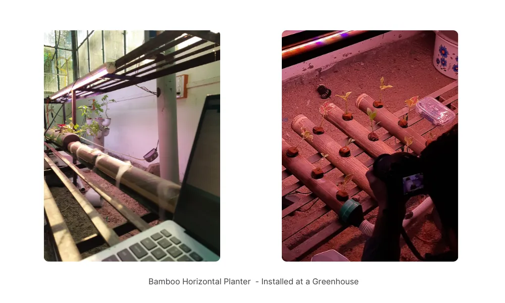 Notion image