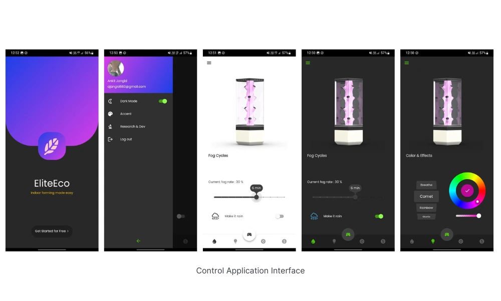 Notion image