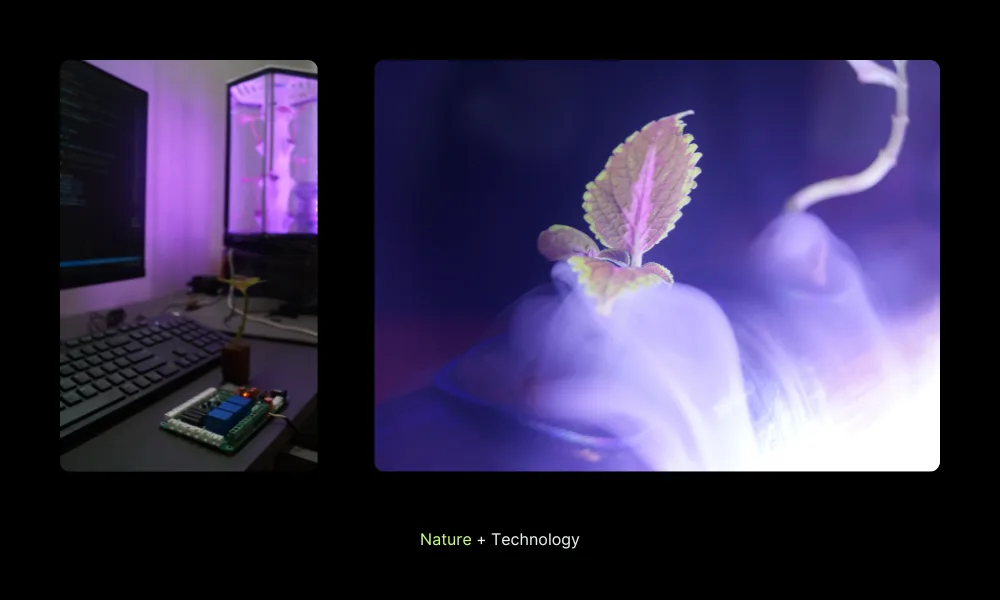 Notion image