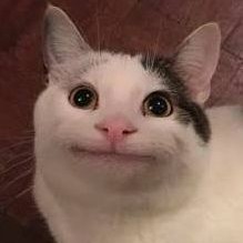 かげやのアイコン