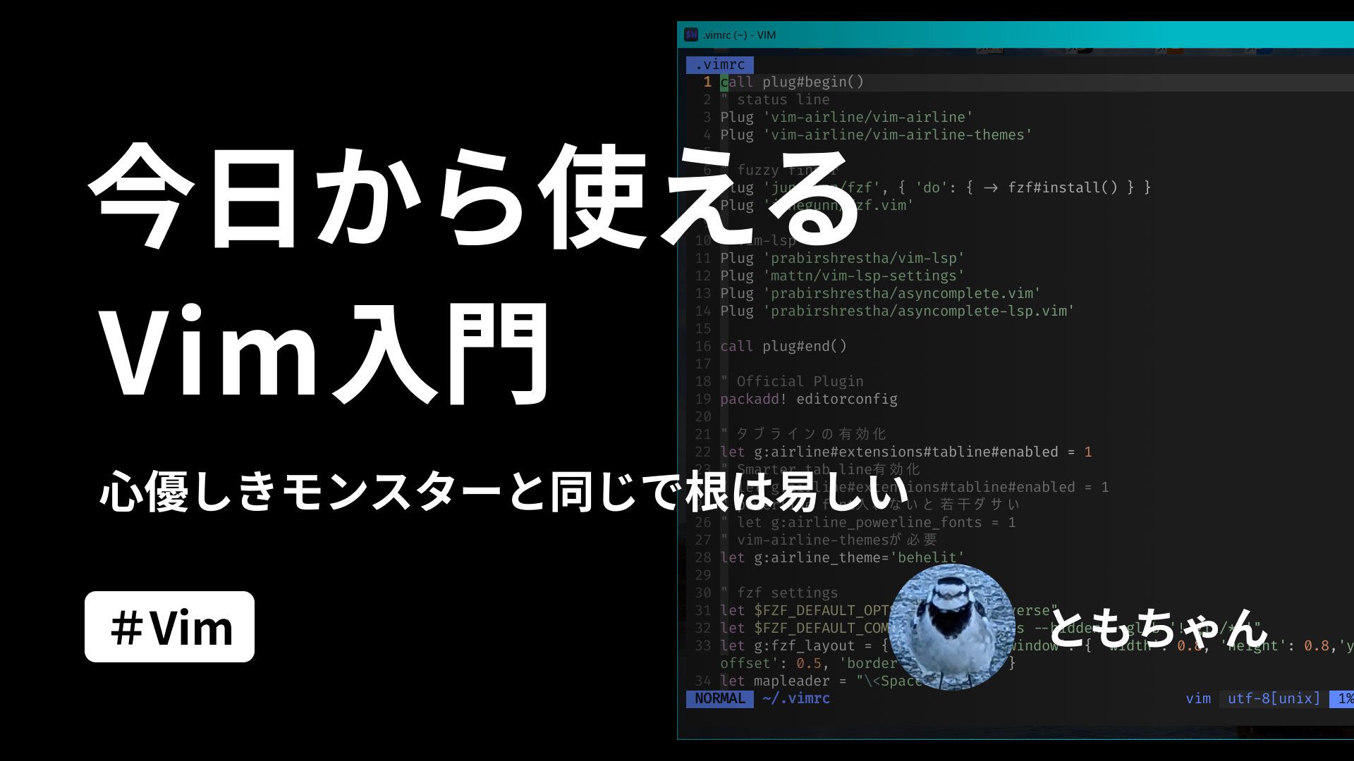 今日から使えるVim入門