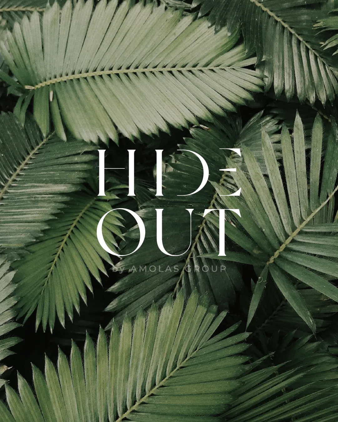 Hide Out — Branding project by Arterie Studio for Hospitality