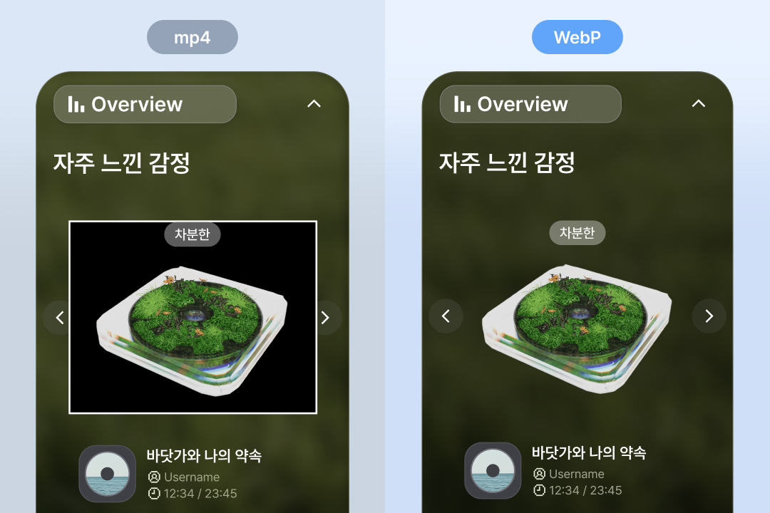 mp4 포맷은 알파채널을 지원하지 않는다. 이에 대한 대안으로 프레임 루프 기능 및 알파채널을 지원하는 WebP를 채택했다.