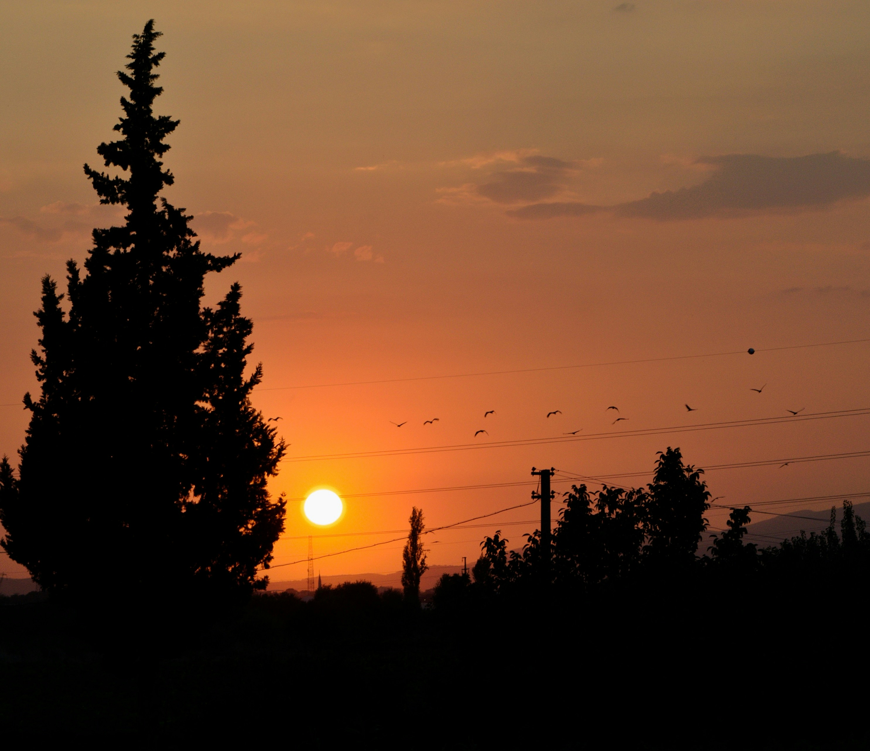 Bg Image