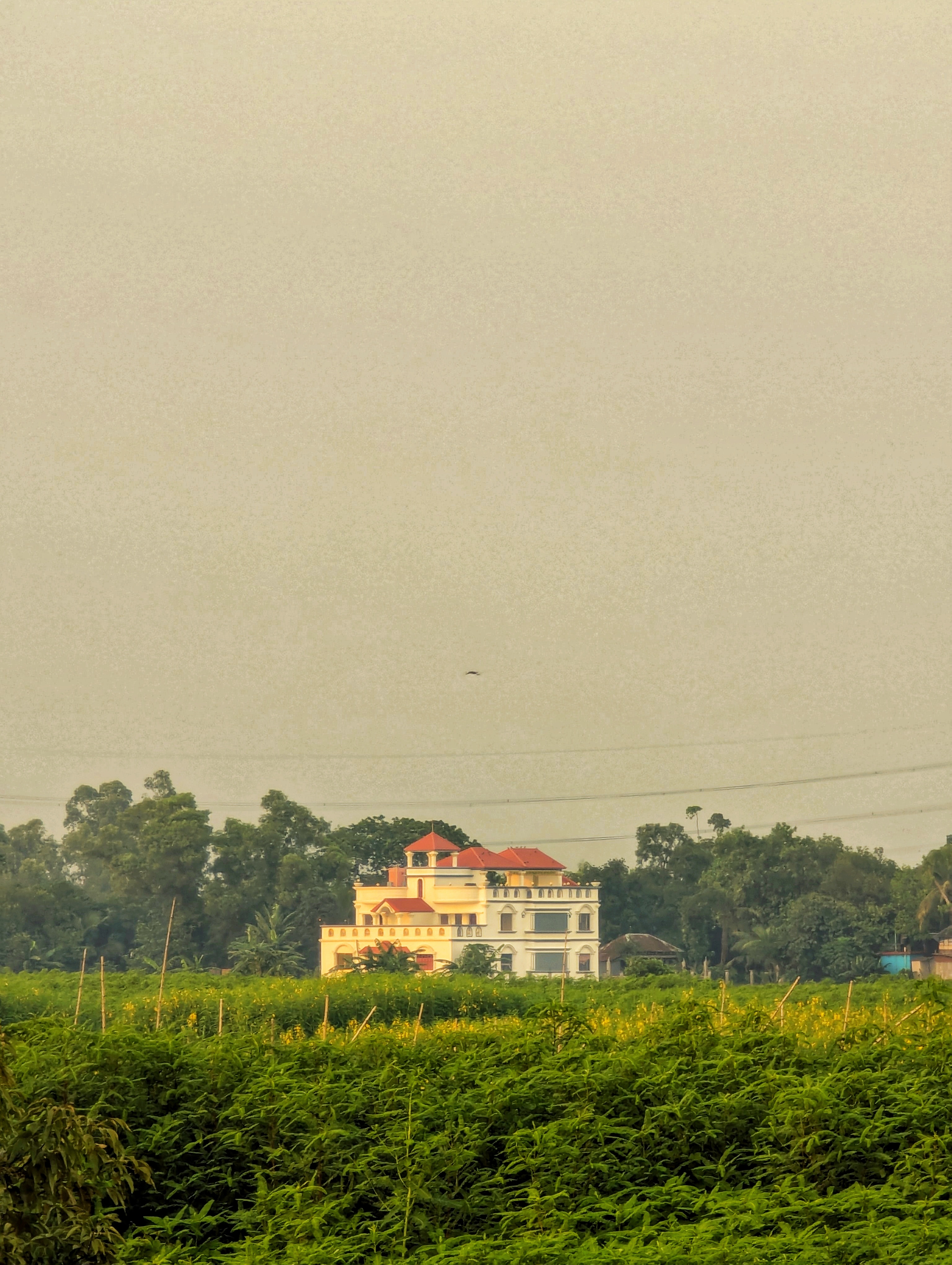 অনুমিতা