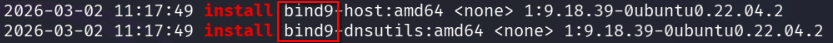 dpkg.log entries showing recent installation of bind9 on the Ubuntu server.