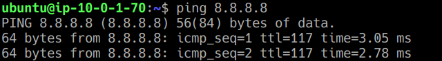 Verified outbound internet connectivity from the private web server through the NAT Gateway.