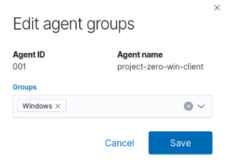 Editing the project-zero-win-client agent to place it in the Windows group.