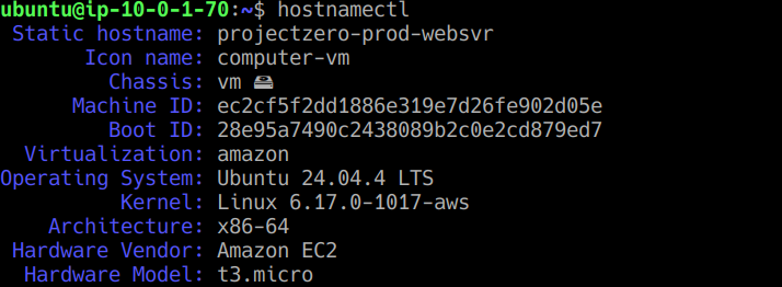 Verified that the web server hostname was successfully updated to projectzero-prod-websvr .