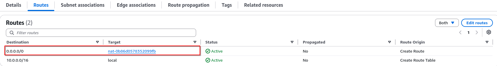 Verified that the 0.0.0.0/0 route through the NAT Gateway was active.