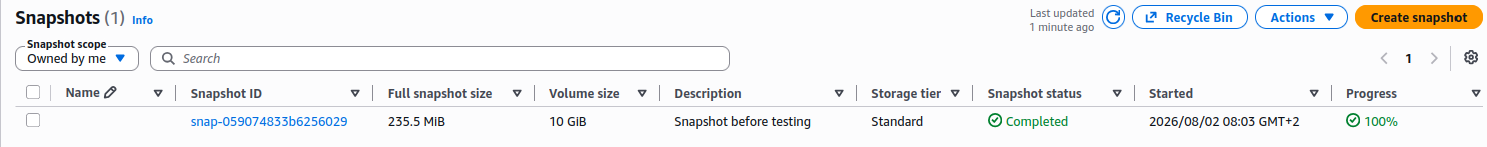 Verified that the EBS snapshot completed successfully, providing a recoverable point-in-time backup of the production data volume.