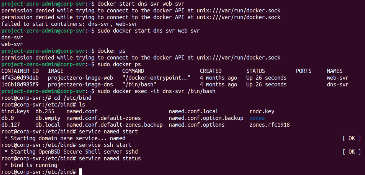 Starting the dns-svr and web-svr Docker containers on corp-svr and verifying that the BIND DNS service is running.
