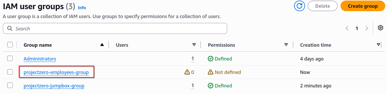 Created a dedicated IAM group for ProjectZero employee access.