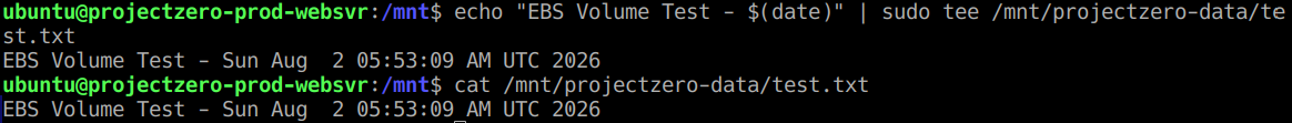Successfully wrote and retrieved a test file from /mnt/projectzero-data , confirming functional read/write access to the EBS volume.