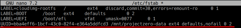Added the EBS filesystem UUID to /etc/fstab , configuring /mnt/projectzero-data to mount automatically during system startup.