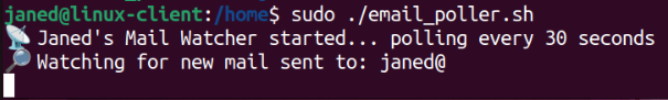 Email poller starts successfully and begins checking MailHog for new messages every 30 seconds.