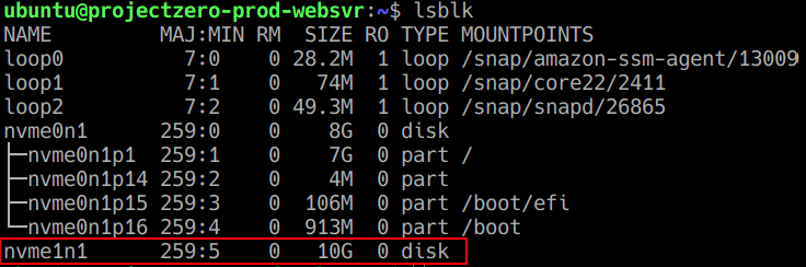 lsblk confirms the newly attached 10 GiB EBS volume is available to projectzero-prod-websvr as nvme1n1 .