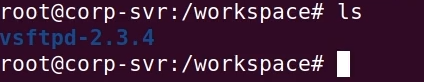 Launching the ftp-svr Docker container and opening a shell inside it to prepare the vulnerable vsftpd 2.3.4 service.