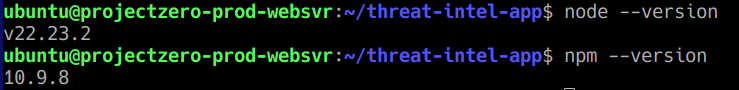 Verified the Node.js and npm runtime environment on projectzero-prod-websvr .