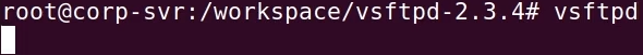 Entering the vsftpd-2.3.4 directory and starting the vsftpd daemon so the vulnerable FTP service is live.