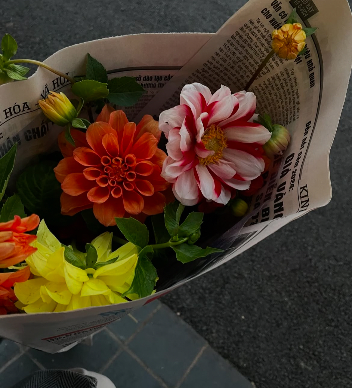 Cứ bình tĩnh, hổng sao