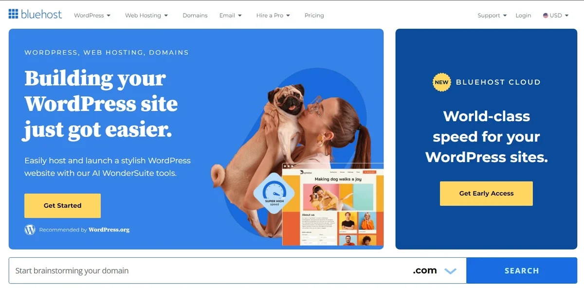 BlueHost.webp