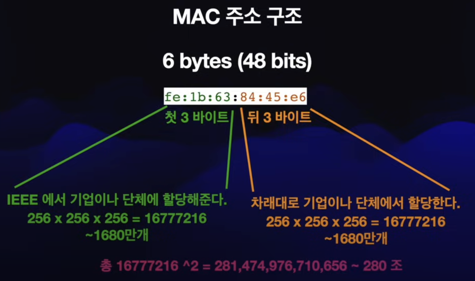 MAC 주소의 구조 (요약)