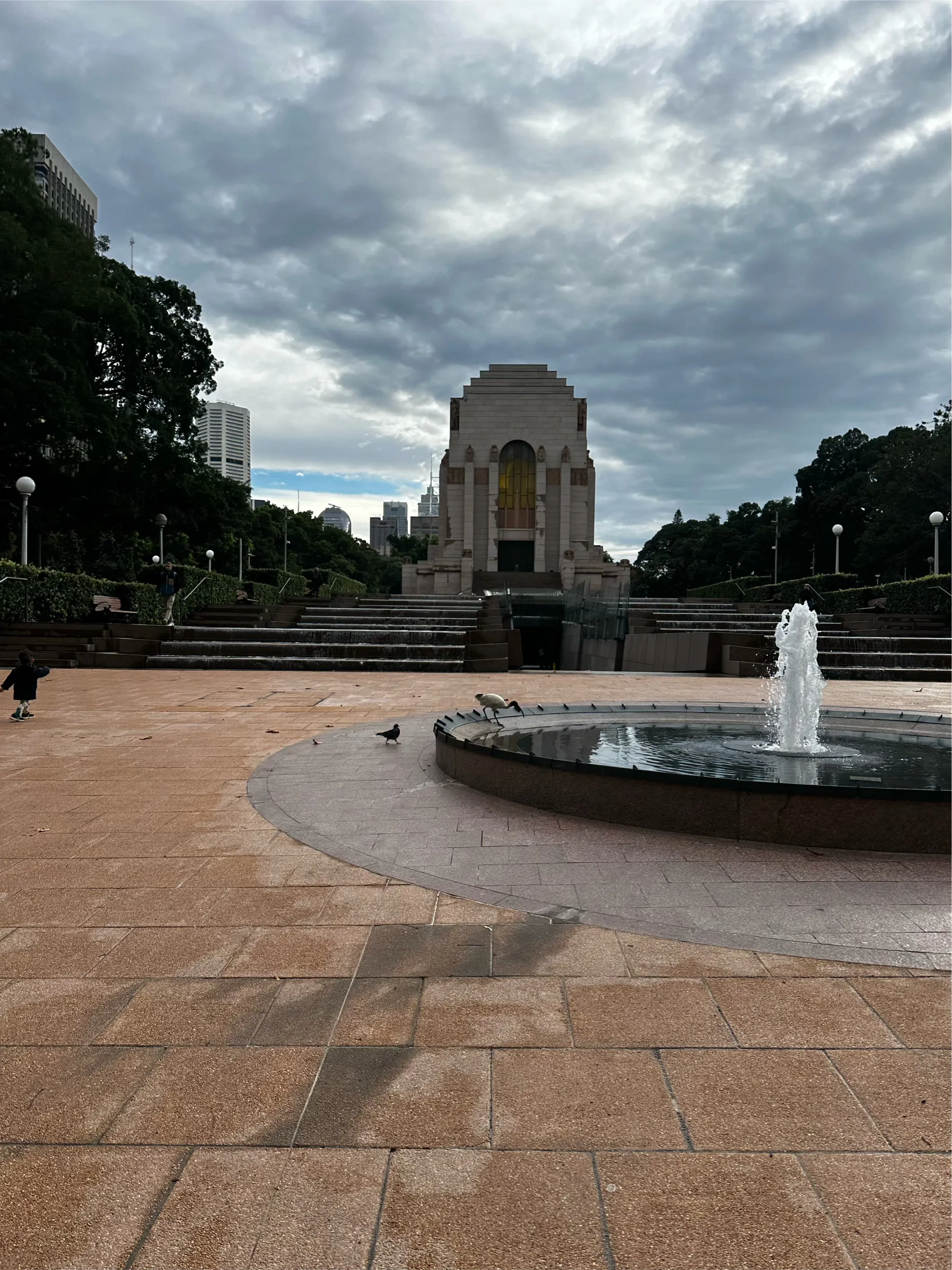 foto1.webp