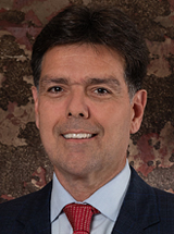 Luciano Vianna Araújo