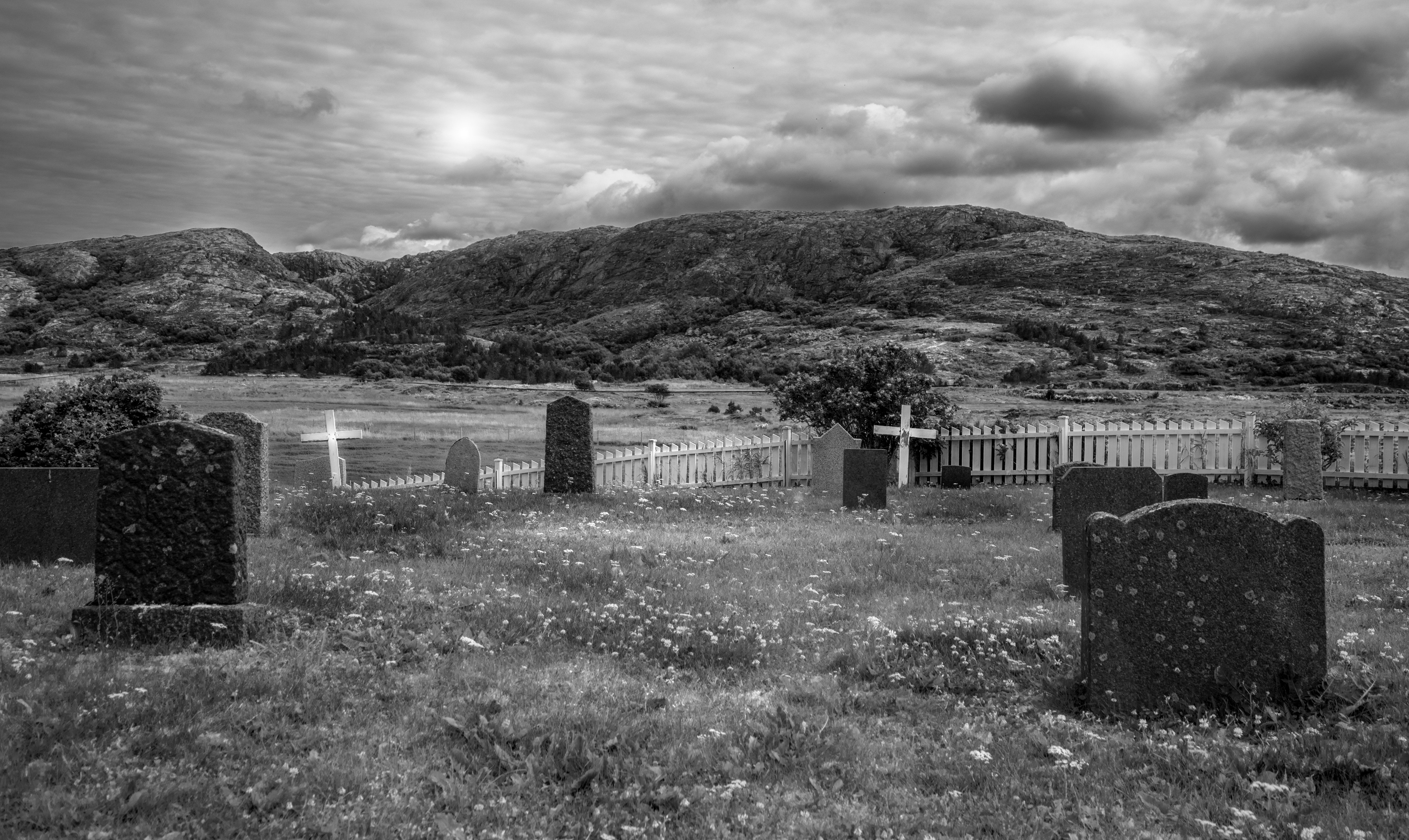 How to Quit the Feed — A Field Manual