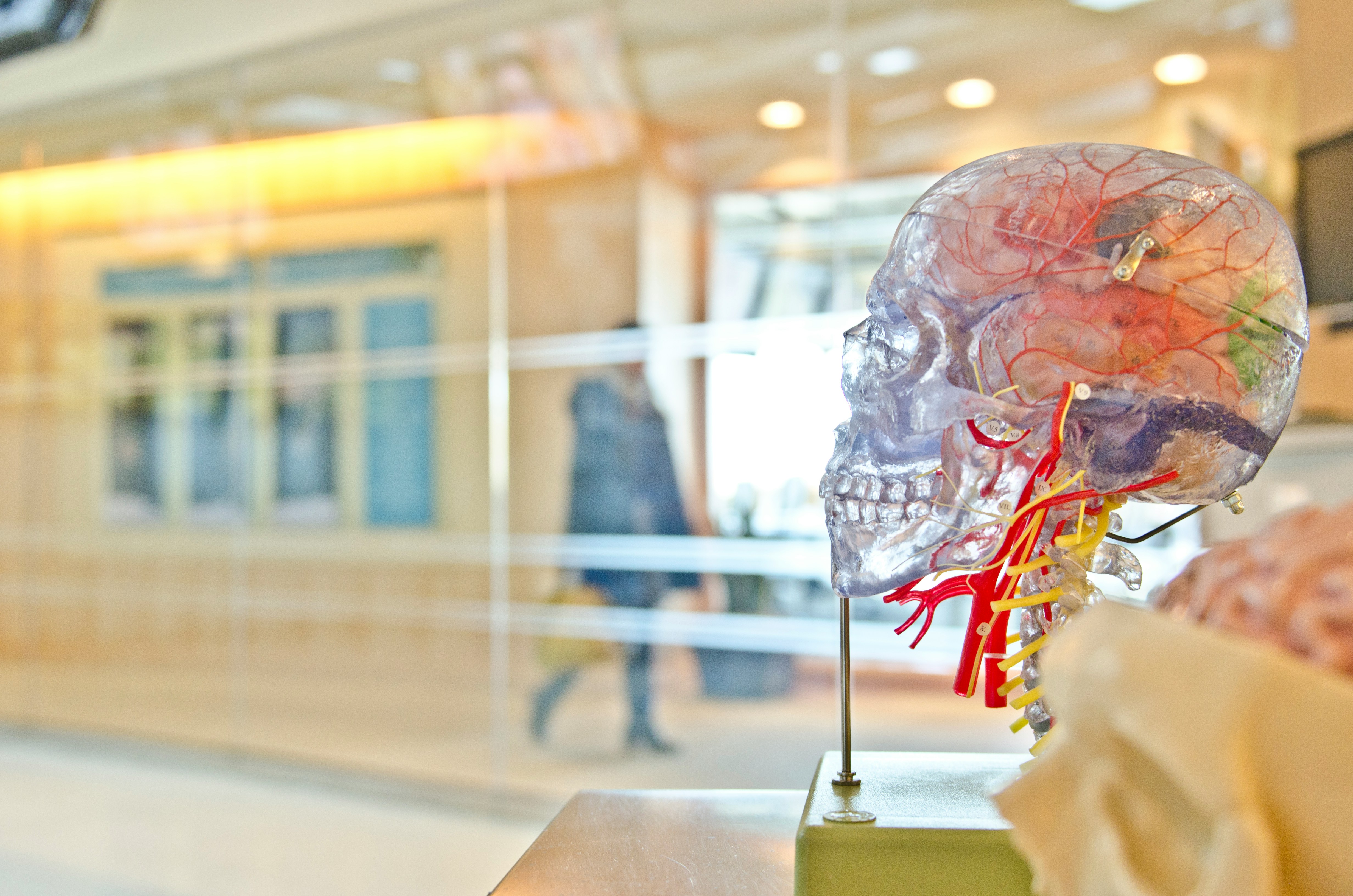 The Future of Sick Leave: How Digital Health Is Changing Medical Certification and Employee Wellness