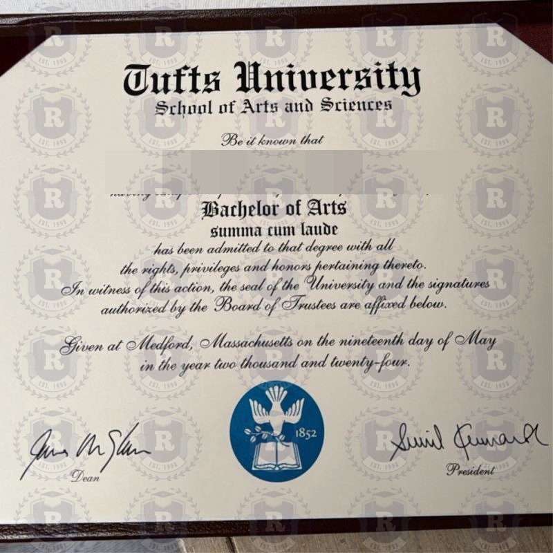 封面图:Tufts University塔夫茨大学学术难关:从无法毕业到成功获得本科学历与学位认证的全攻略 - C同学因故无法从塔夫茨大学顺利毕业,通过